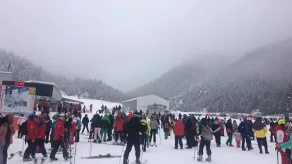 Световен ден на снега