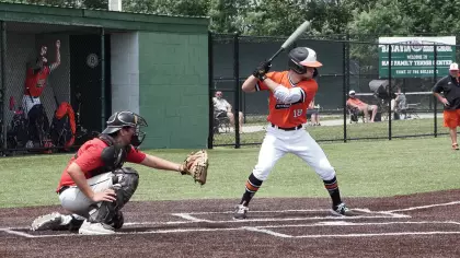 Лъвове - Блус