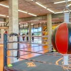DSD BOXING CLUB